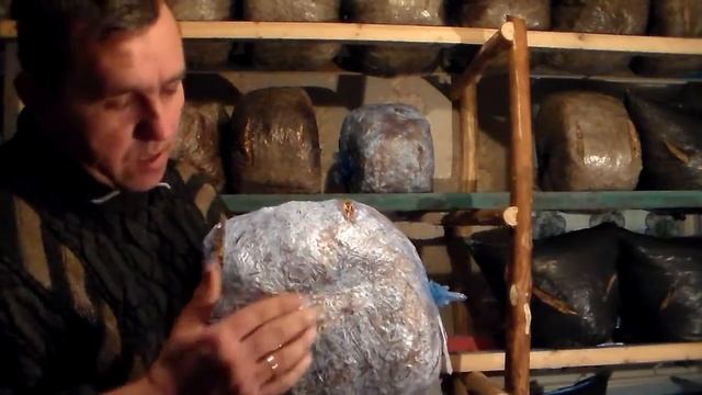 Конденсат,в грибных блоках-друг или враг? смотреть онлайн