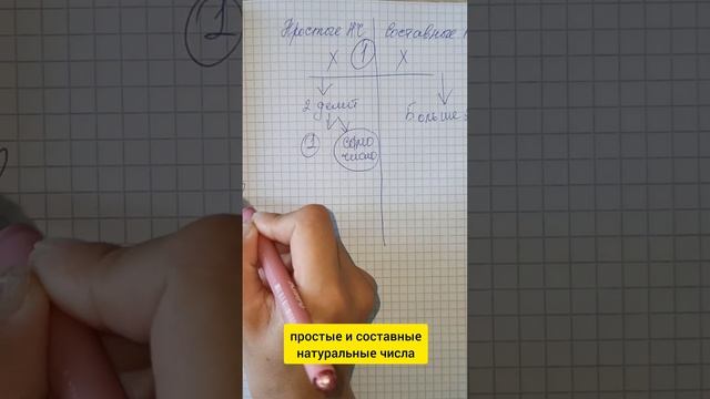 простые и составные натуральные числа смотреть онлайн