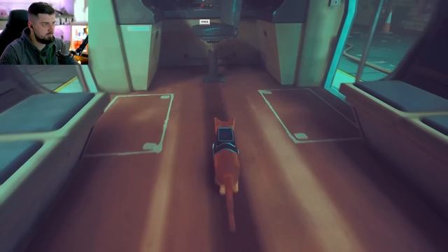 САМАЯ ДОБРАЯ ИГРА - STRAY ПРОХОЖДЕНИЕ #7 ФИНАЛ смотреть онлайн