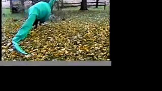 Best Halloween Costume Ever!! Brontosaurus 1995 смотреть онлайн