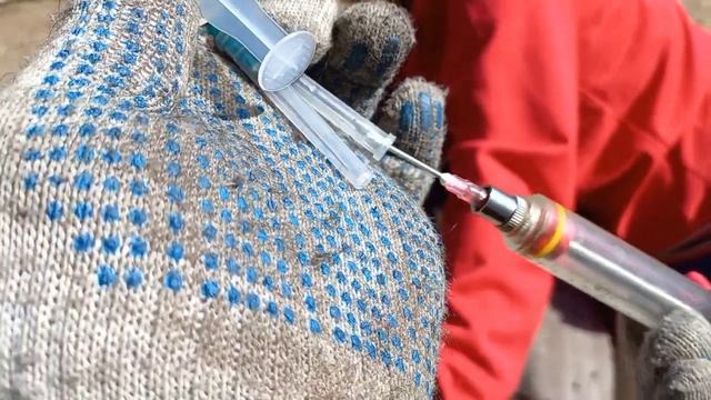 Эдильбаевские овцы в "СИБИРИ" Стрижка плд машинку. смотреть онлайн