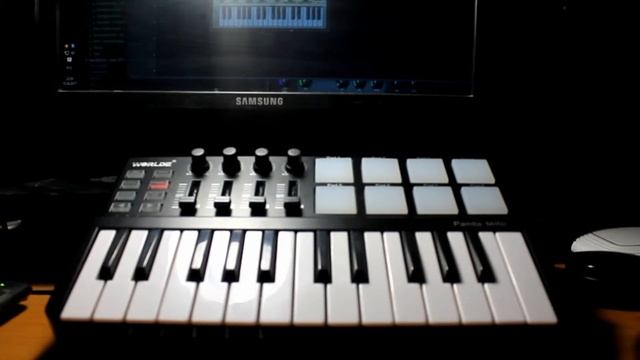 Как подключить контроллер? Обзор. WORLDE Panda Mini смотреть онлайн