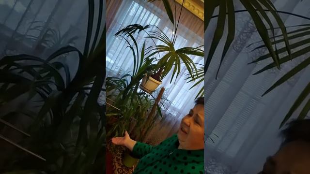 украинские песни из народа смотреть онлайн