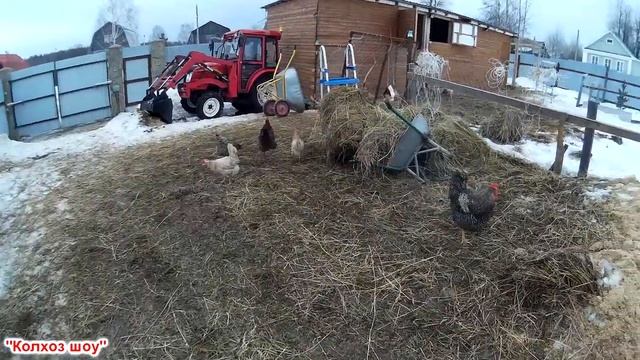 Куры Несушки/Яйценоскость пулемета/Эксперимент завершен. смотреть онлайн