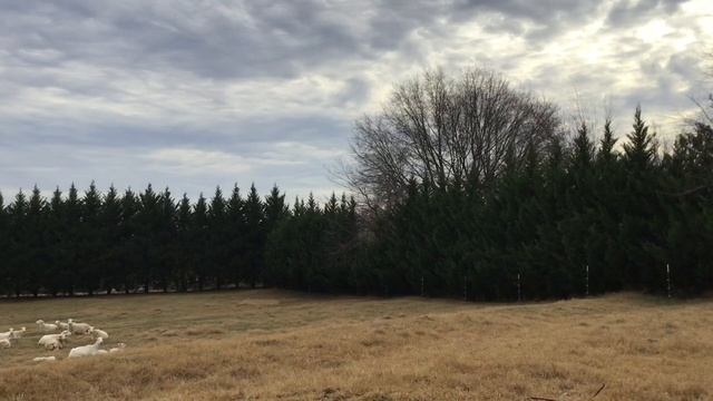 ВРЕМЕННОЕ И ВЕЧНОЕ (2-е Коринфянам 4:14-18) /христианский стих) читает автор Анна Юркин смотреть онлайн