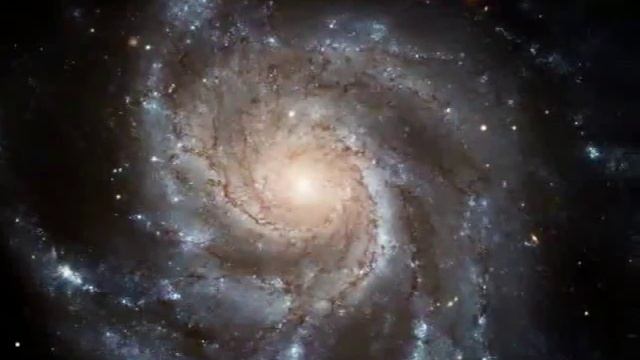 Centr - Звезды всегда хороши, особенно ночью.flv смотреть онлайн