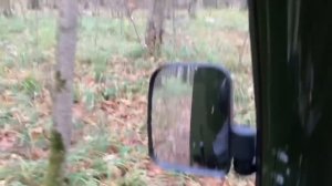 Грузовой трицикл с кабиной Рутрайк карго.