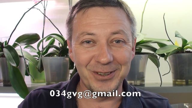 ФИТОЛАМПА для орхидей и где, как, почем купить ОРХИДЕИ ПОЧТОЙ смотреть онлайн