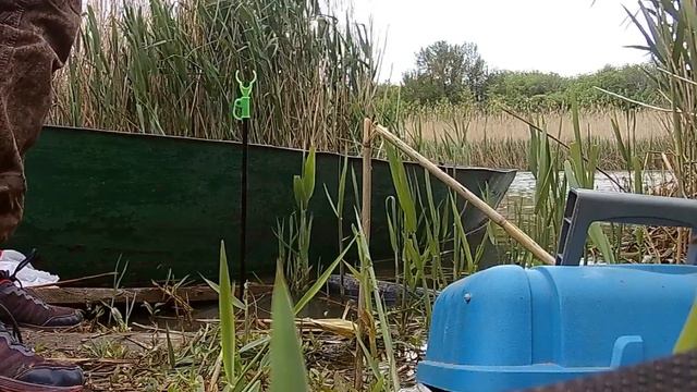 Жду когда уже клюнет нормальная рыба смотреть онлайн