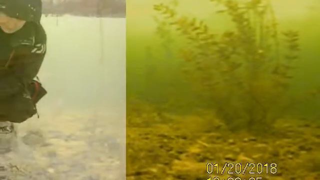 тренировка воронежских мормышечников 2018( training of Voronezh mormyshechnikov 2018) смотреть онлайн