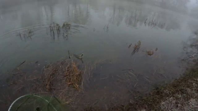 ЧУДЕСА на МАЛОЙ РЕЧКЕ! Вода поднялась зашло много РЫБЫ!#fishing #рыбалка2023 #ловляжереха смотреть онлайн