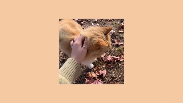 Осінній плейліст українською смотреть онлайн