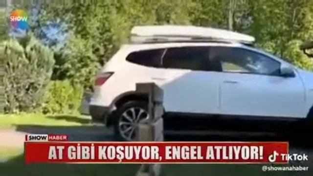 AT GİBİ KADIN BİN GİT смотреть онлайн