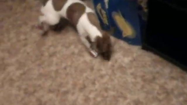 В ботинках 2 смотреть онлайн