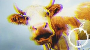 ПОЛЬСКАЯ КОРОВА PHONK - Memnaya papka feat. Cypis