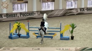 17.11.2023 Всероссийские спортивные соревнования по конкуру на призы КСК "Виват, Росиия!"