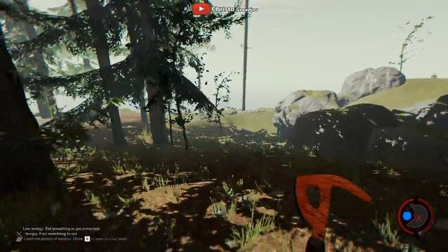 The Forest [PC] GT 430 1GB DDR3 & Intel 2 duo & 4 GB RAM | Low End PC смотреть онлайн