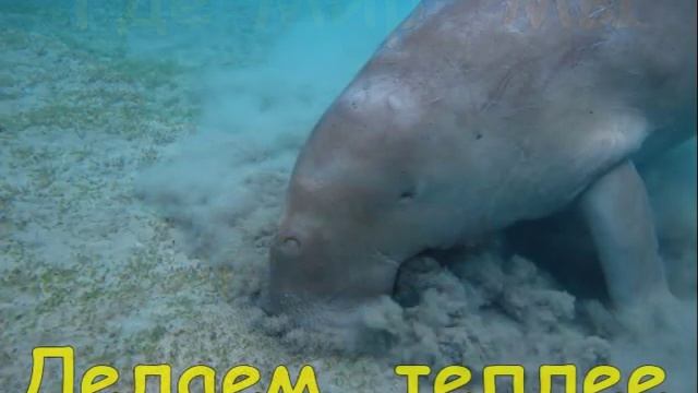 МЫ РОЖДЕНЫ , ЧТОБ СКАЗКУ СДЕЛАТЬ БЫЛЬЮ смотреть онлайн