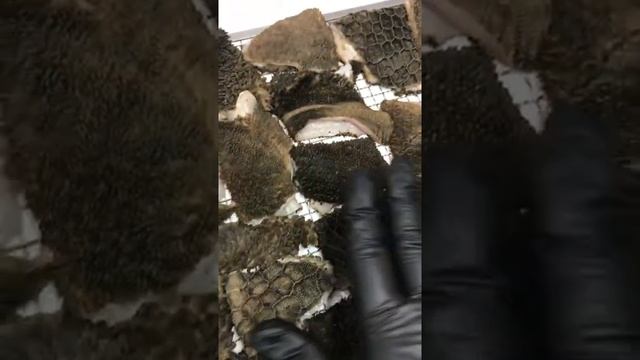Бараний рубец (свежий/сушёный) смотреть онлайн