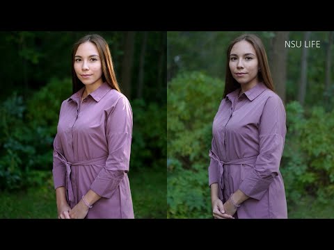 Основы фотографии