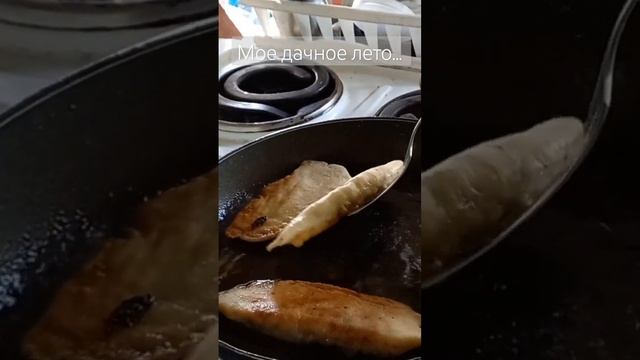 Дачное лето...Оно такое! #дачавсибири #дачасадогород #дачнаяжизнь #дачнаяатмосфера #садмаруся #сад смотреть онлайн