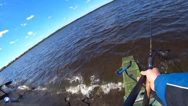 ВЕТЕР В ЛИЦО, НО ЛЕЩ КЛЮЕТ!!! 1-й этап чемпионата Могилевской области по фидеру. Часть 2-я смотреть онлайн