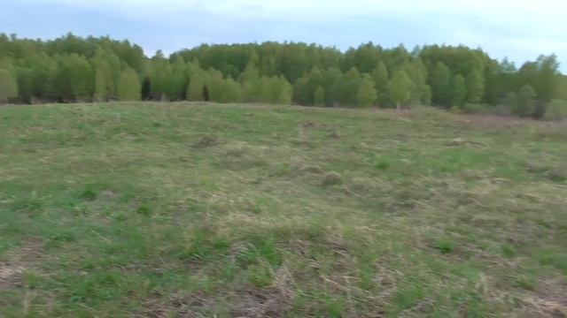 Поход с собакой. Ночевка в лесу. Коп разведка. смотреть онлайн