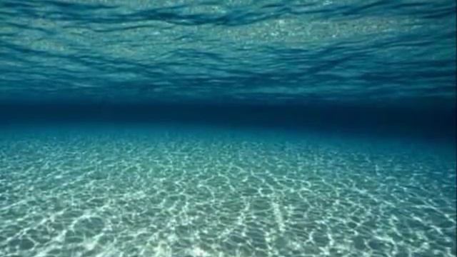 Ocean Acidification Project 2 смотреть онлайн