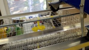 Автоматическая кормушка для перепелов