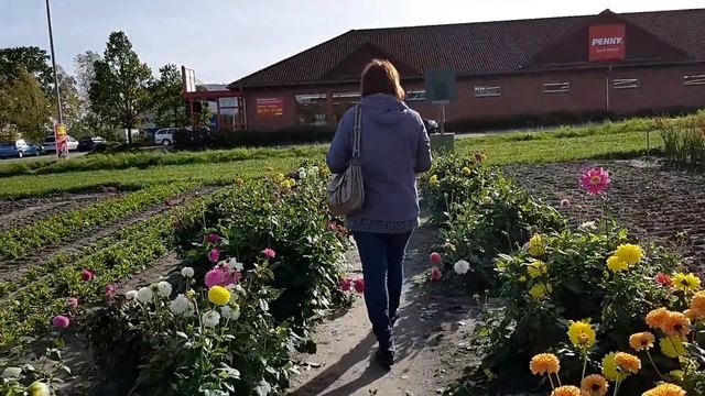 ДЕНЬГИ, КАК ВОДА-ЧЕЛОВЕК СОСТОИТ НА 70% ИЗ ВОДЫ... смотреть онлайн