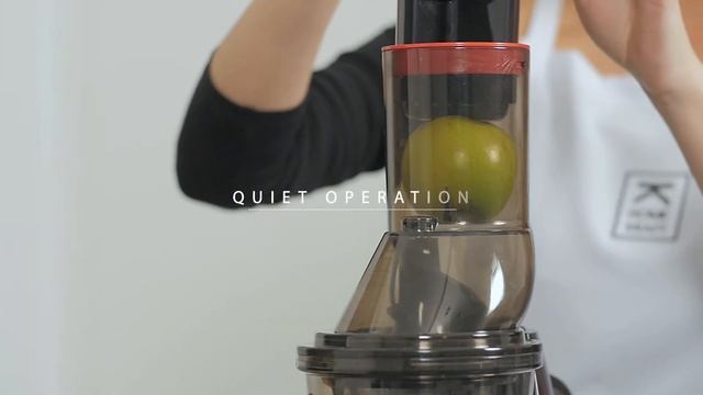 Homekraft Slow-Juicer Essence LARGE смотреть онлайн