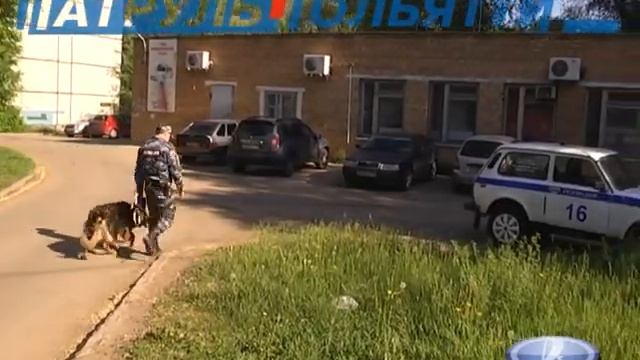 27 05 15 Патруль Тольятти смотреть онлайн