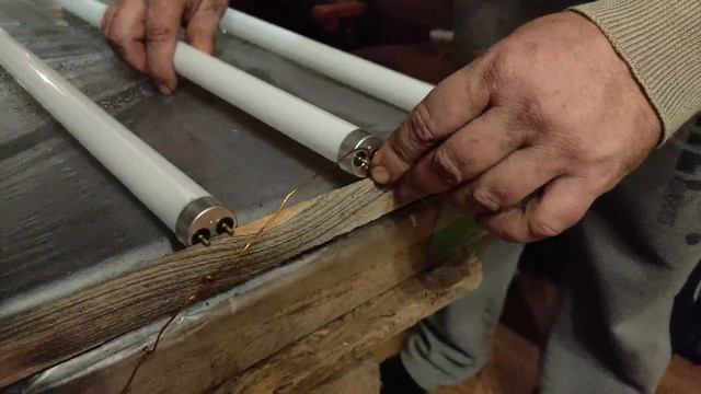 Выращиваем рассаду петунии под лампами, просто, экономично, быстро! смотреть онлайн