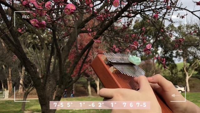 Genshin Theme Song - Genshin Impact | Kalimba Tabs
