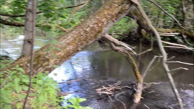село Кривец (Краснозоренского района Орловской области), июль 2017 смотреть онлайн