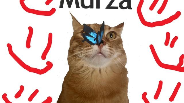 TheMyCat - Murza песня в честь 1000 подписчиков и в честь моего кота Мурзы смотреть онлайн