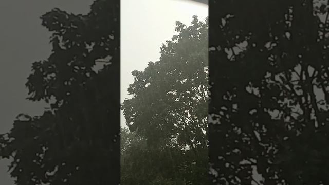 по предсказаниям европа уйдёт под воду , вот и посмотрим где была европа смотреть онлайн