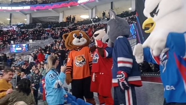 маскоты кхл смотреть онлайн