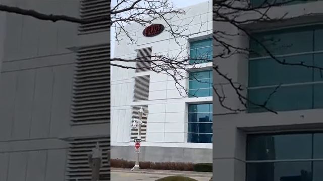 Welcome To Windsor Canada смотреть онлайн