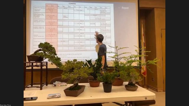 American Bonsai Association Sacramento and Jonas Dupuich present "A Year in the Life of a Conifer". смотреть онлайн