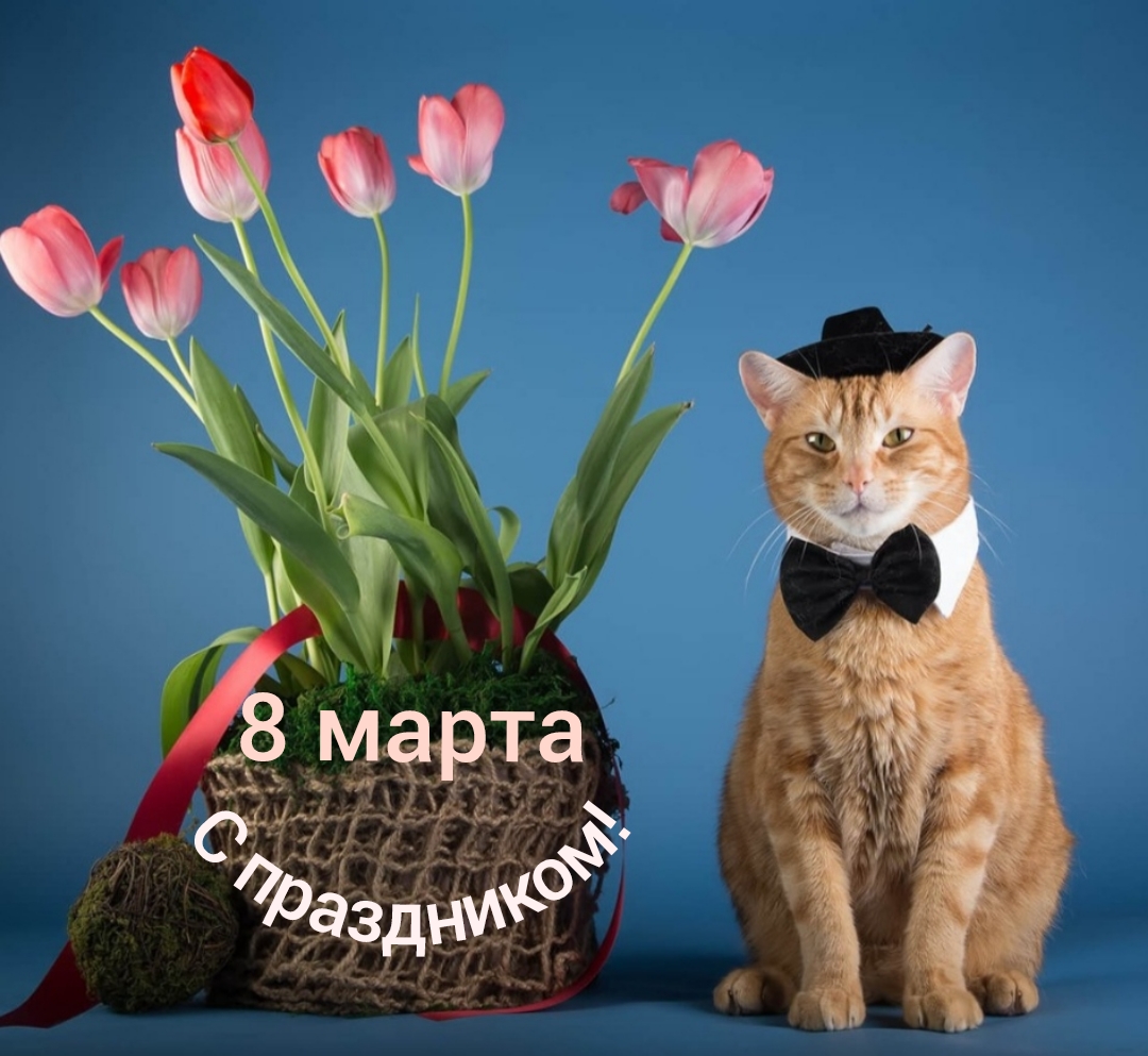 С праздником 8 марта! смотреть онлайн