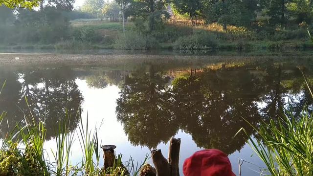 Ловля толстолоба смотреть онлайн