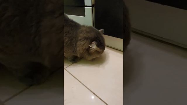 Уборка профи