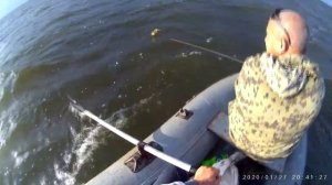 РЫБАЛКА НА СОМА! РЕКА ВОЛГА! ЛОВИМ НА ПЕРЕМЁТ