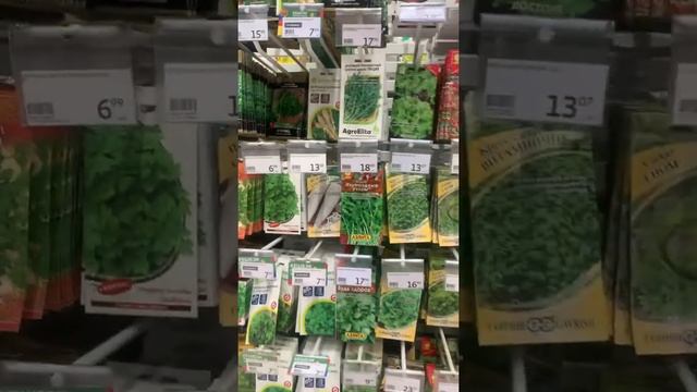 Лучший сорт петрушки смотреть онлайн