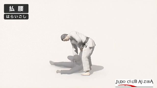 Classic Judo take downs / Броски классического Дзюдо смотреть онлайн