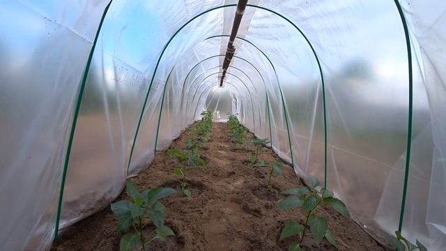 Парник за 20 минут из дуг.