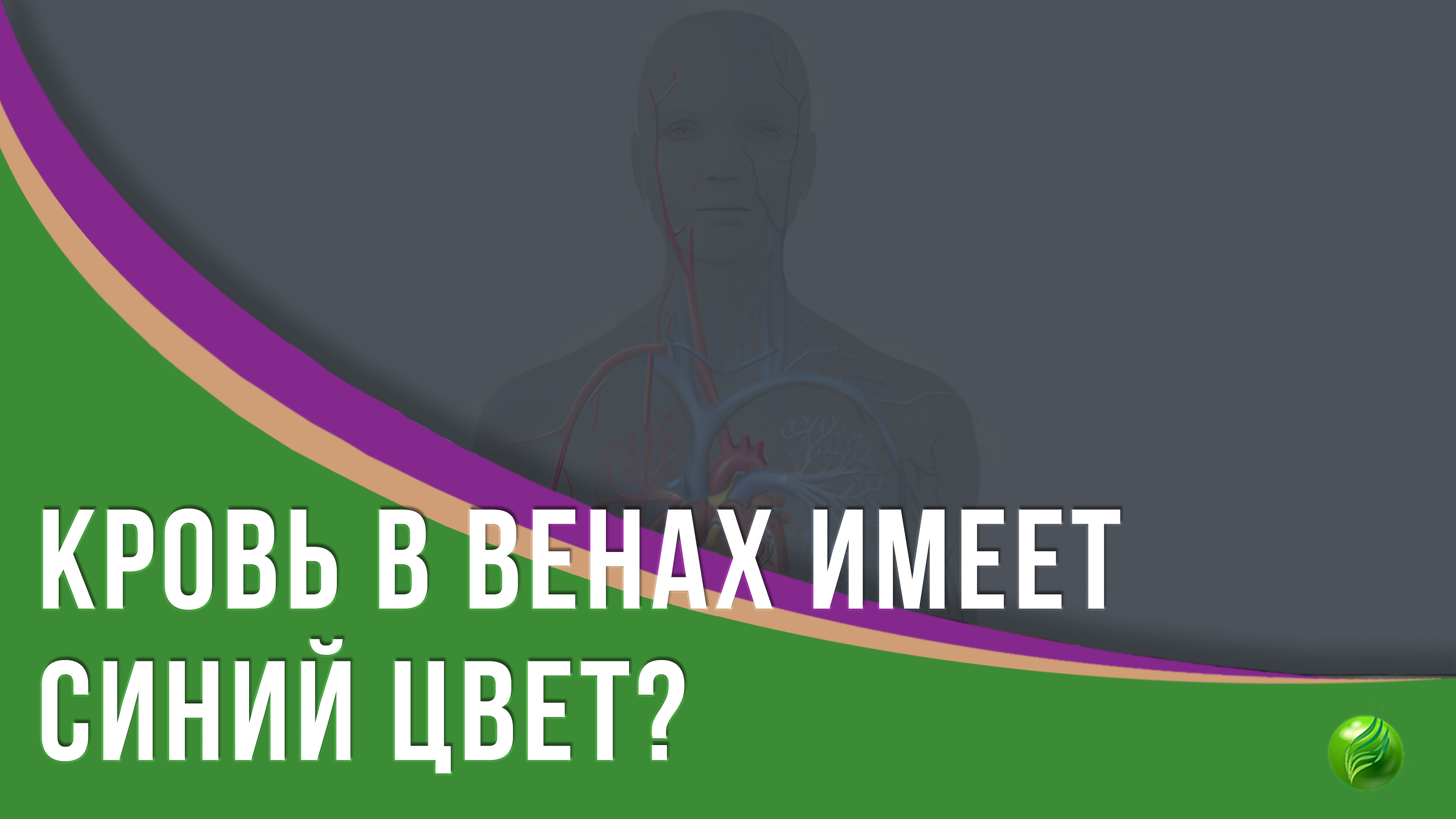 Кровь в венах имеет синий цвет?