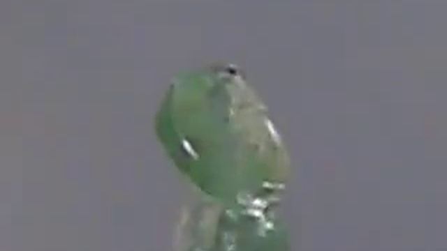 ALEXANDRITE  Александрит  0.45CT Натуральный