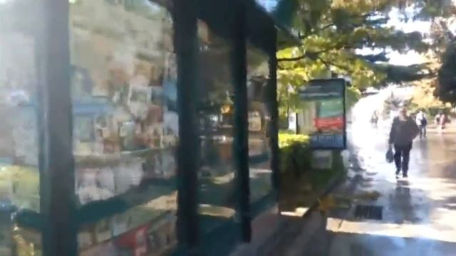 Книга -сердца . ЭЛЬЧИН САФАРЛИ .Дама с чемоданом ,Осень.